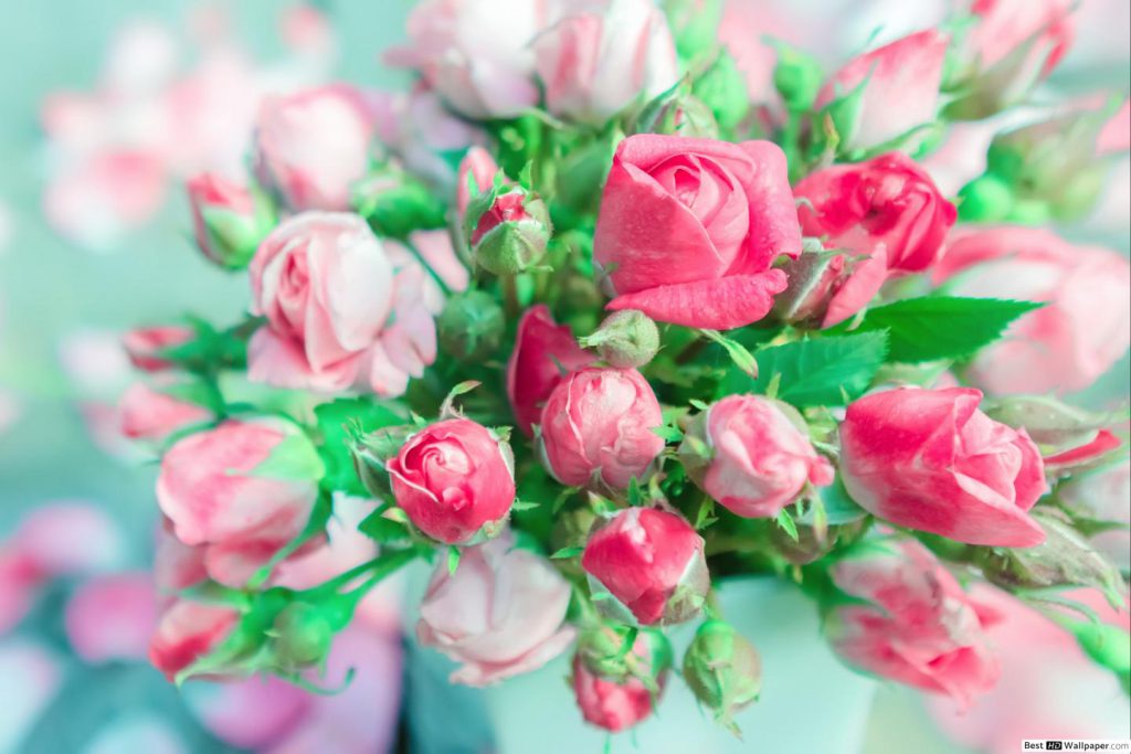 گروه حقوقی وکیل سلمان احدی