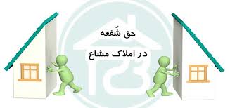 گروه حقوقی وکیل سلمان احدی
