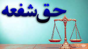 گروه حقوقی وکیل سلمان احدی