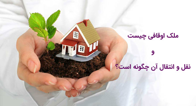 گروه حقوقی وکیل سلمان احدی