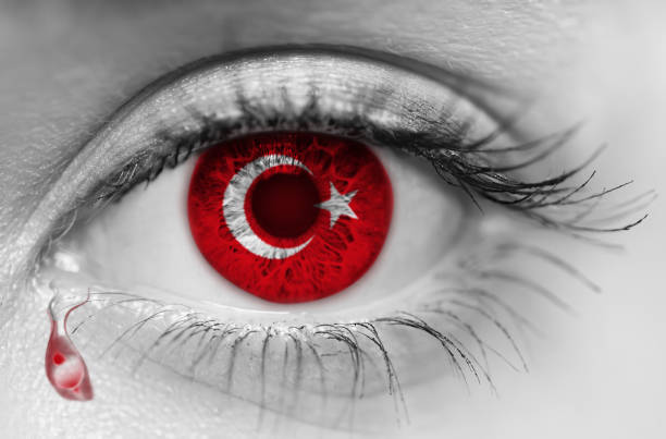 گروه حقوقی وکیل سلمان احدی